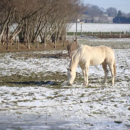 La Grande Mardelle - 