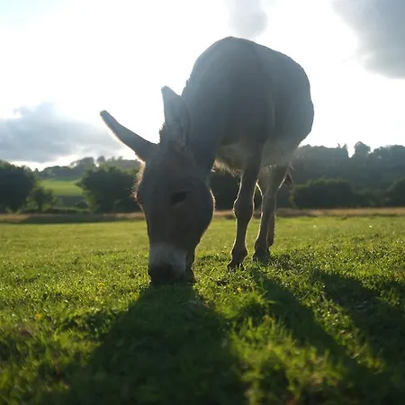 La Grande Mardelle - 