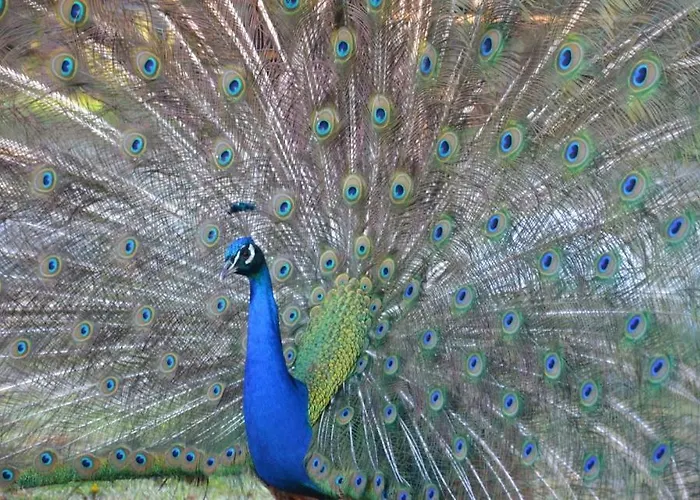 Bed & Breakfast La Grande Mardelle - 