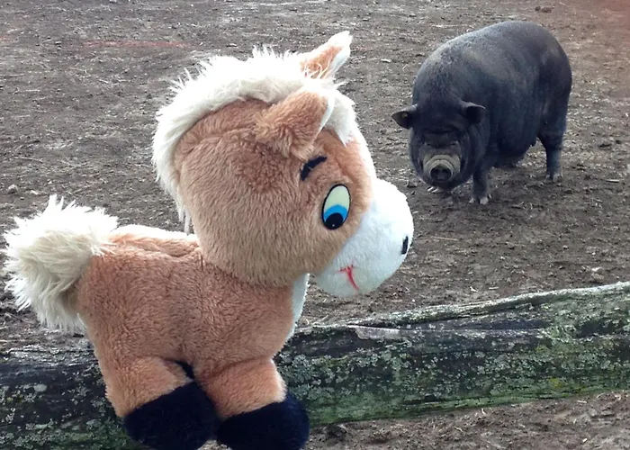 La Grande Mardelle - 