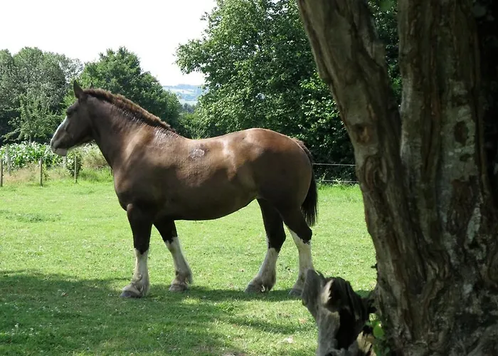 La Grande Mardelle - 